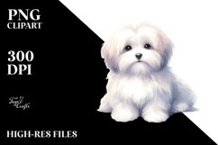 Cute Pastel Havanese | Sublimation | Clipart Product Image 1