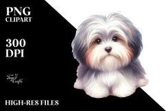 Cute Pastel Havanese | Sublimation | Clipart Product Image 1