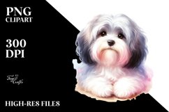 Cute Pastel Havanese | Sublimation | Clipart Product Image 3