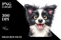Cute Border Collie PNG Product Image 2