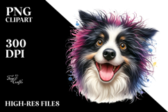 Cute Border Collie with Big Eyes PNG Product Image 2