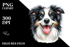 Cute Border Collie with Big Eyes PNG Product Image 2