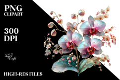 Orchid Blossom, Transparent PNG Product Image 2