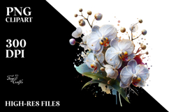 Crocus Flower, Transparent PNG Product Image 2