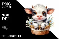 Smiling Baby Highland Cow on Star | Clipart Product Image 3