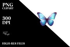 Colorful Butterfly Splash, PNG Product Image 2