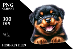 Baby Rottweiler with Big Eyes PNG Product Image 2