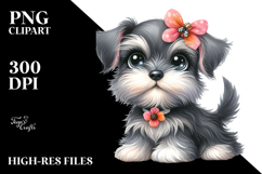 Baby Miniature Schnauzer with Big Eyes PNG Product Image 2