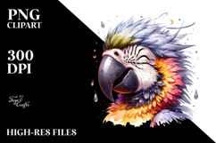 Funny Cute Parrot Portrait Smiling Dripping in the Wind Product Image 2