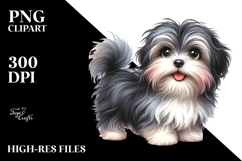 Watercolor Cute Havanese, PNG Product Image 2