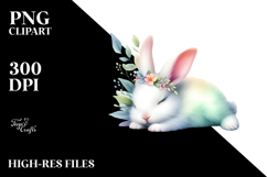 Vibrant Cute Baby Rabbit Sleeping Product Image 2