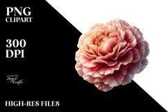 Glossy Carnation Golden Insertions Clipart Product Image 3