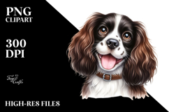Cute Baby English Springer Spaniel, Transparent PNG Product Image 2