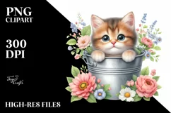 Cute Baby Cat with Big Eyes PNG Product Image 1