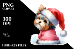 Yorkshire Terrier with Santa Hat PNG Product Image 2
