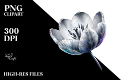 Tulip Material Image, PNG Product Image 2