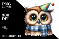 Funny Owl Portrait with Party Hat Watercolor Clipart Product Image 3