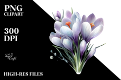 Crocus Flower, Transparent PNG Product Image 2