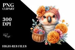 Detailed Boho Baby Parrot with Marigold Bouquet Product Image 3