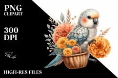 Detailed Boho Baby Parrot with Marigold Bouquet Product Image 1