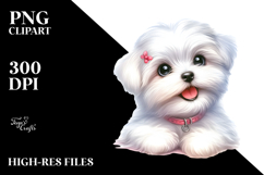Watercolor Baby Maltese with Big Eyes, PNG Product Image 2