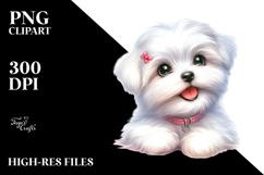 Cute Baby Maltese with Big Eyes PNG Product Image 2