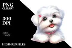 Cute Baby Maltese with Big Eyes PNG Product Image 2