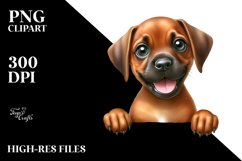 Baby Rhodesian Ridgeback Watercolor Cute Clipart Product Image 3