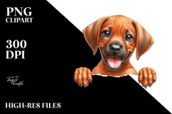 Funny Smiling Baby Rhodesian Ridgeback Watercolor Clipart Product Image 3