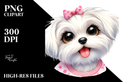 Cute Maltese with Big Eyes PNG Product Image 2