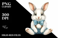 Funny Cute Baby Bunny in Front of Barn Product Image 3