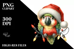 Cute Baby Macaw with Santa Hat, PNG Product Image 2
