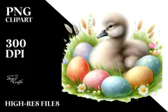 Baby Swan in Grass, PNG Product Image 2