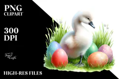 Baby Swan in Grass, PNG Product Image 2