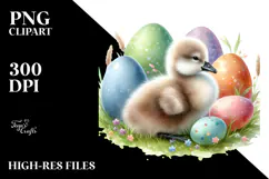 Baby Swan in Grass, PNG Product Image 2