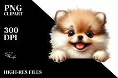 Colorful Funny Watercolor Pomeranian Sublimation Clipart Product Image 1