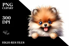 Colorful Funny Watercolor Pomeranian Sublimation Clipart Product Image 1