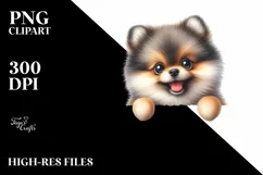 Colorful Funny Watercolor Pomeranian Sublimation Clipart Product Image 3
