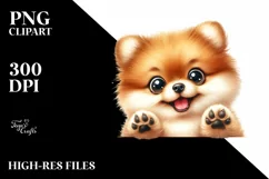 Colorful Funny Watercolor Pomeranian Sublimation Clipart Product Image 1