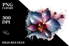 Sublimation|Clipart Product Image 3