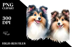 Cute Shetland Sheepdog, PNG Product Image 2