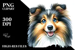 Cute Shetland Sheepdog, PNG Product Image 2