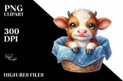 Smiling Baby Highland Cow in a Recipient | Clipart Product Image 1
