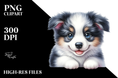 Happy Baby Border Collie PNG Product Image 2
