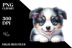 Happy Baby Border Collie PNG Product Image 2
