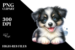 Happy Baby Border Collie, Transparent PNG Product Image 2
