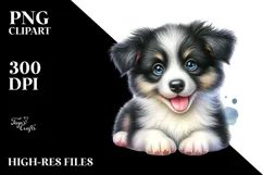 Happy Baby Border Collie, Transparent PNG Product Image 2