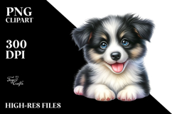 Happy Baby Border Collie PNG Product Image 2