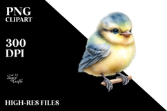 Cute Baby Bird with Vibrant Colors PNG Product Image 2