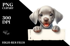 Crazy Baby Weimaraner Invisible | Clipart Product Image 3